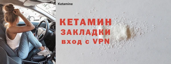 трава Няндома
