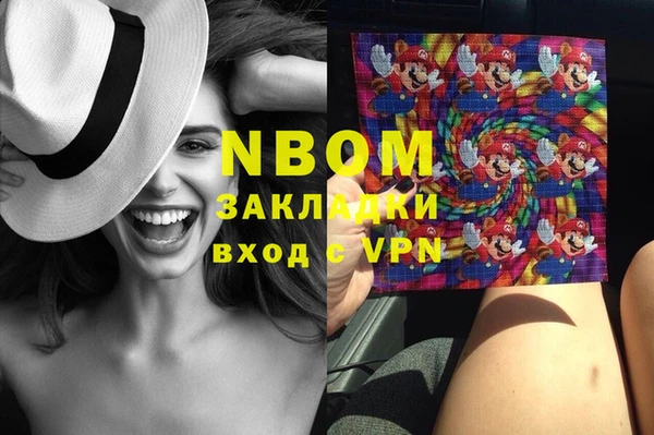 трава Няндома