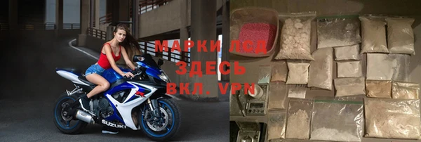 трава Няндома