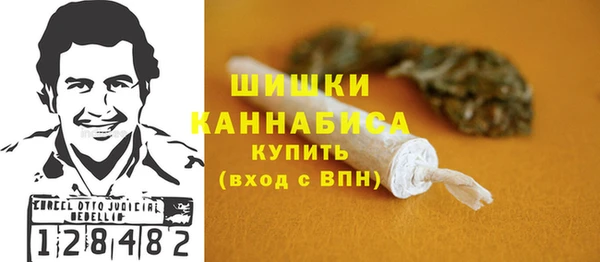 трава Няндома