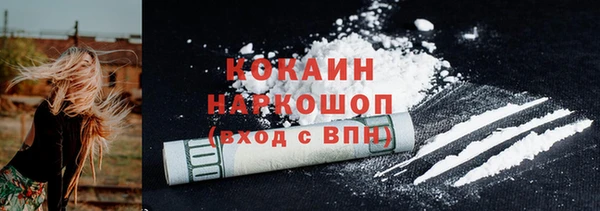 трава Няндома