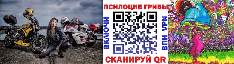 Псилоцибиновые грибы Cubensis  Бодайбо 